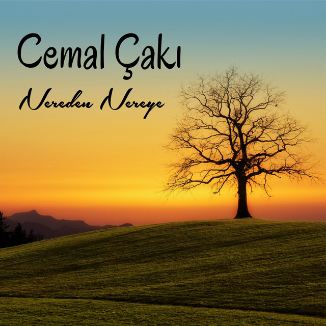 Nereden Nereye cover art