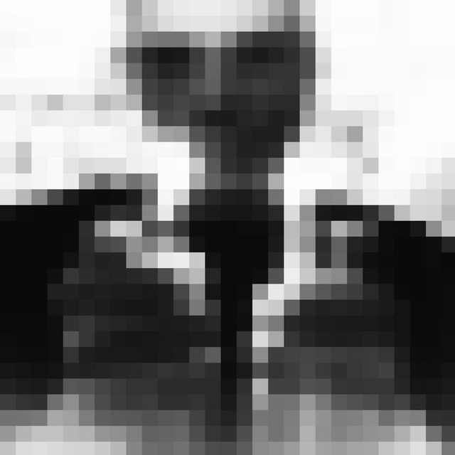 Antzzzzzz cover art