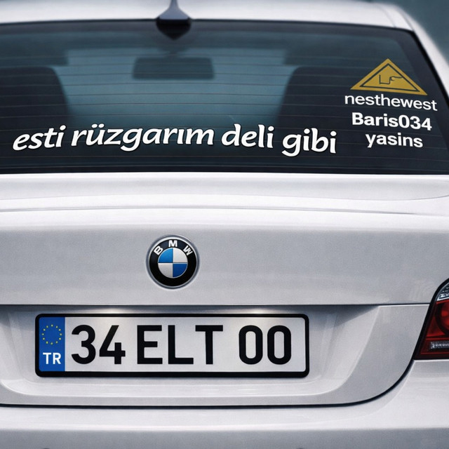esti rüzgarım deli gibi