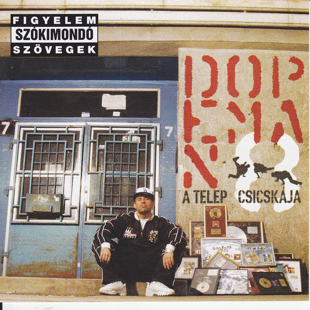 A telep csicskája cover