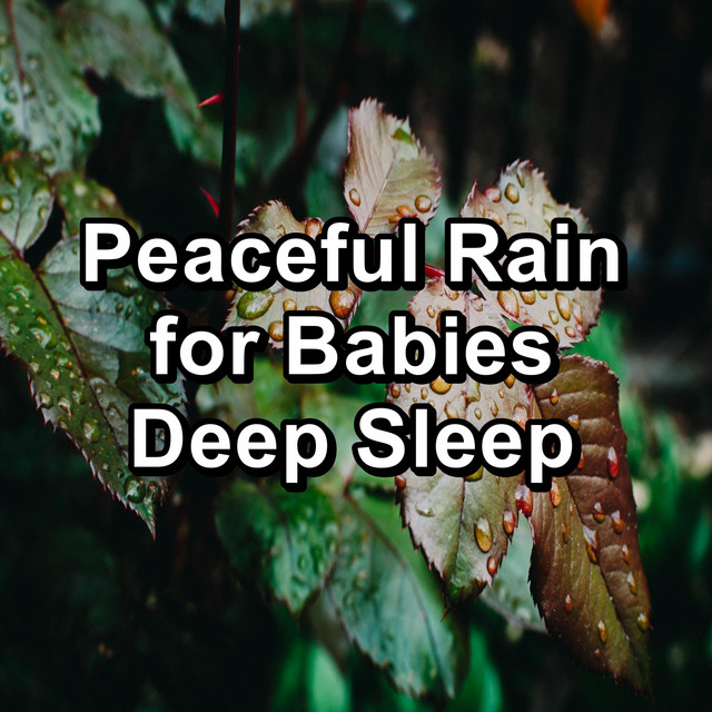 Peaceful Rain for Babies Deep Sleep - Album by Calming Sounds | Spotify