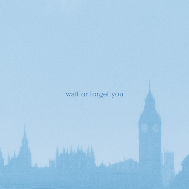 Wait or Forget You cover