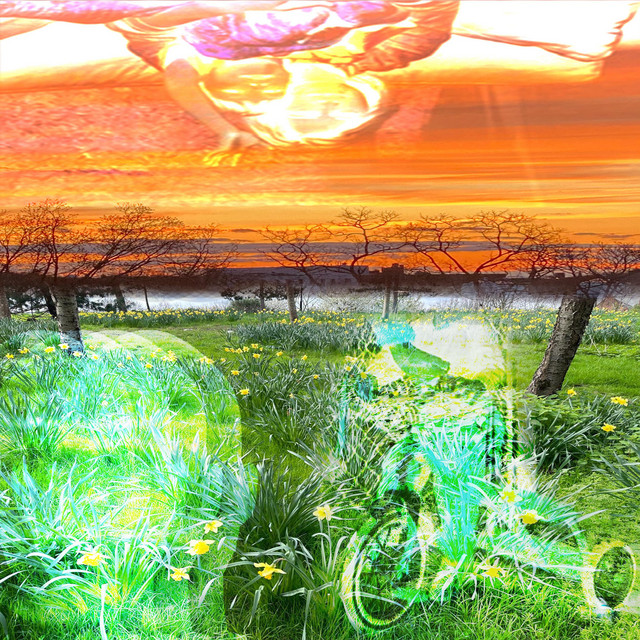 Transient cover art