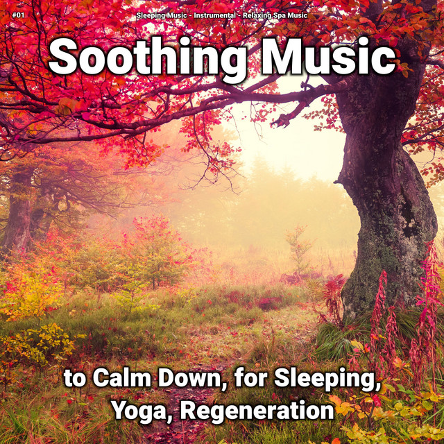 #01 Soothing Music to Calm Down, for Sleeping, Yoga, Regeneration cover art