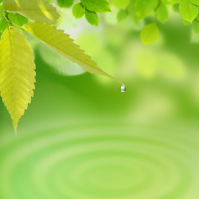 Green Waves