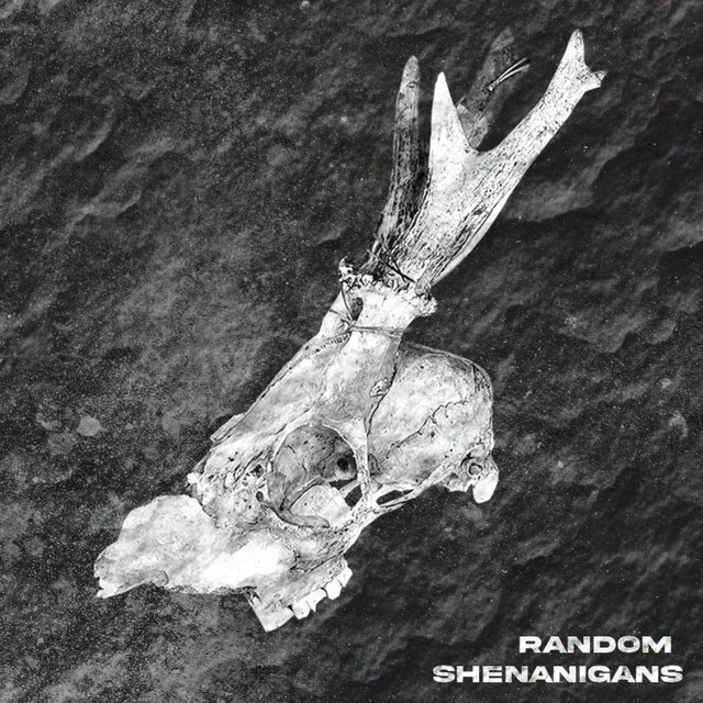 RANDOM SHENANIGANS cover art