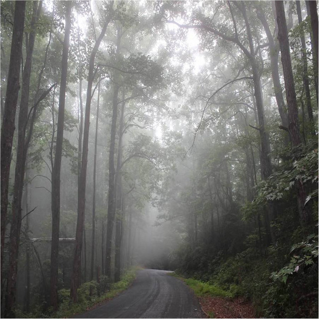 Phase 01 cover art