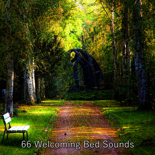 66 Welcoming Bed Sounds - Album by Sleepy Times | Spotify