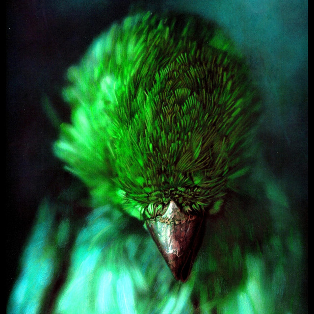 William Jay Sydeman Photo
