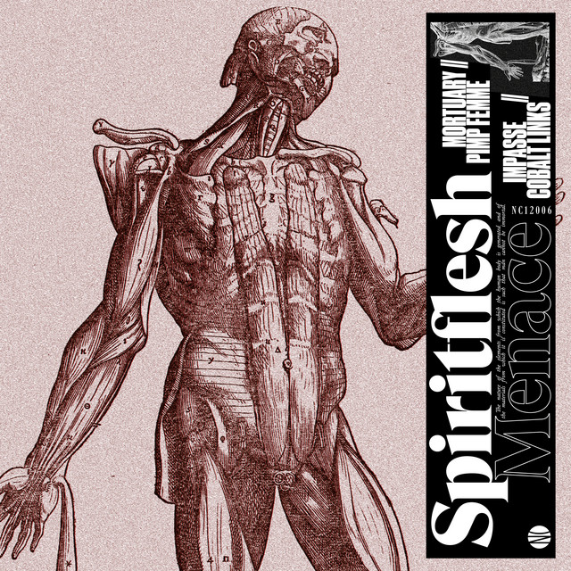 Spiritflesh