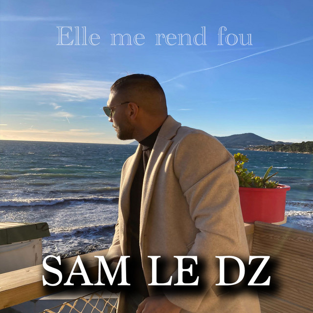 SAM LE DZ | Spotify