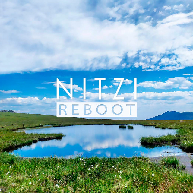 Reboot - Single by Nitzi | Spotify