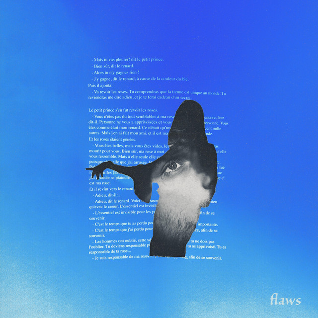 Flaws cover art