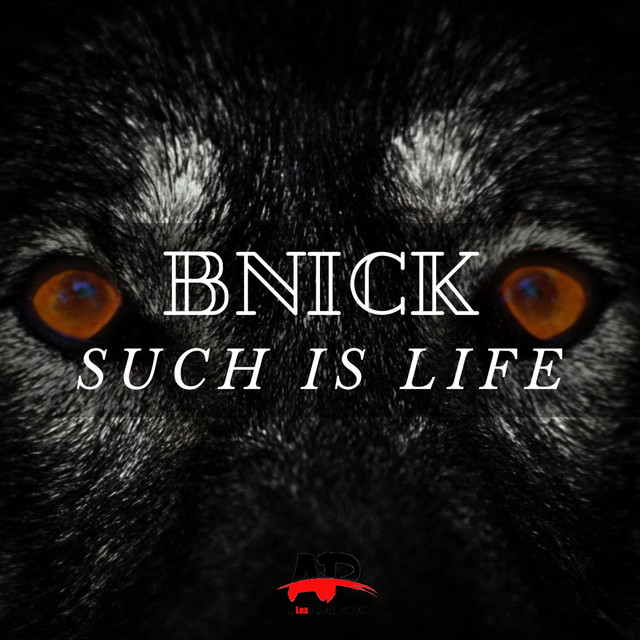 Such Is Life - Radio Edit