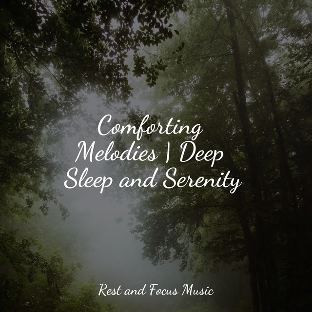 Comforting Melodies | Deep Sleep and Serenity - Album by Massagem | Spotify