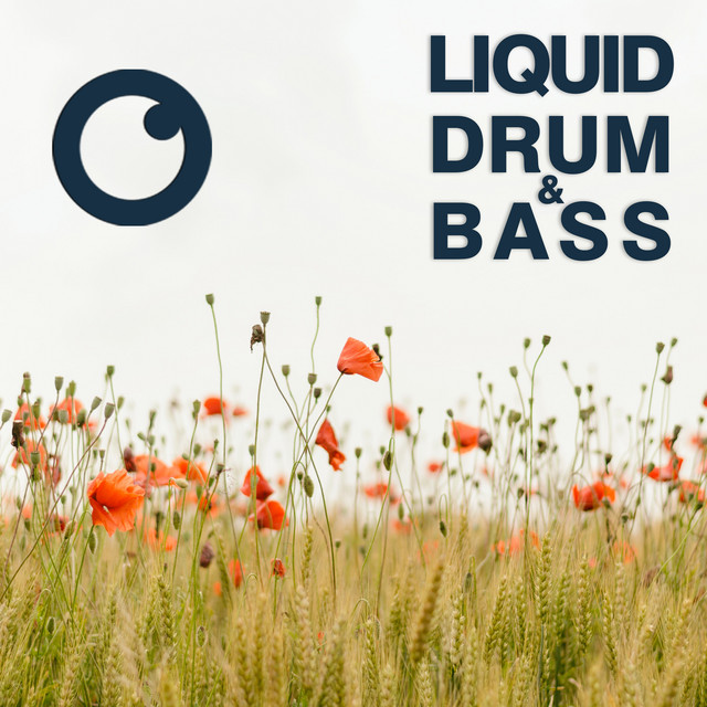 Liquid Drum & Bass Sessions 2021 Vol 43 artwork