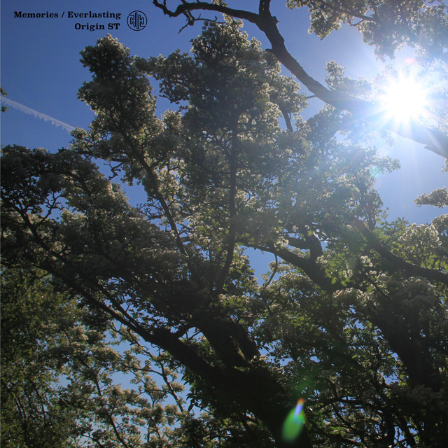 Memories / Everlasting cover art