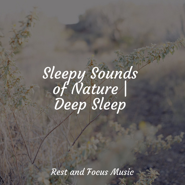Sleepy Sounds of Nature | Deep Sleep - Album by Soothing Chill Out for ...