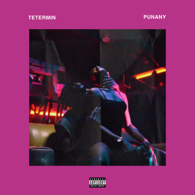Punany cover art