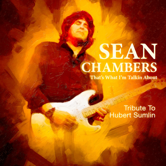 That's What I'm Talkin About - Tribute To Hubert Sumlin cover