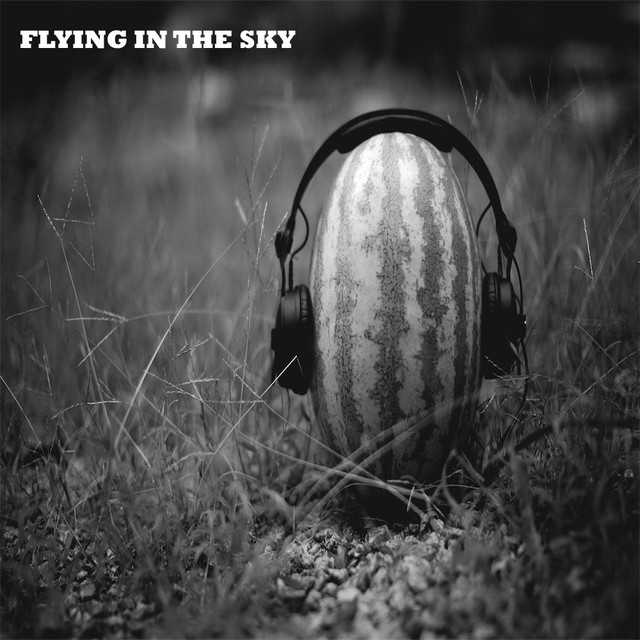 Flying In The Sky - Original Mix