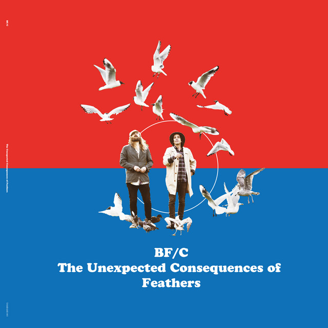 BF/C The Unexpected Consequences of Feathers cover art