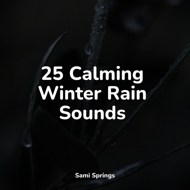25 Natural Rain Sounds for Spa & Relaxation - Album by Relaxation | Spotify
