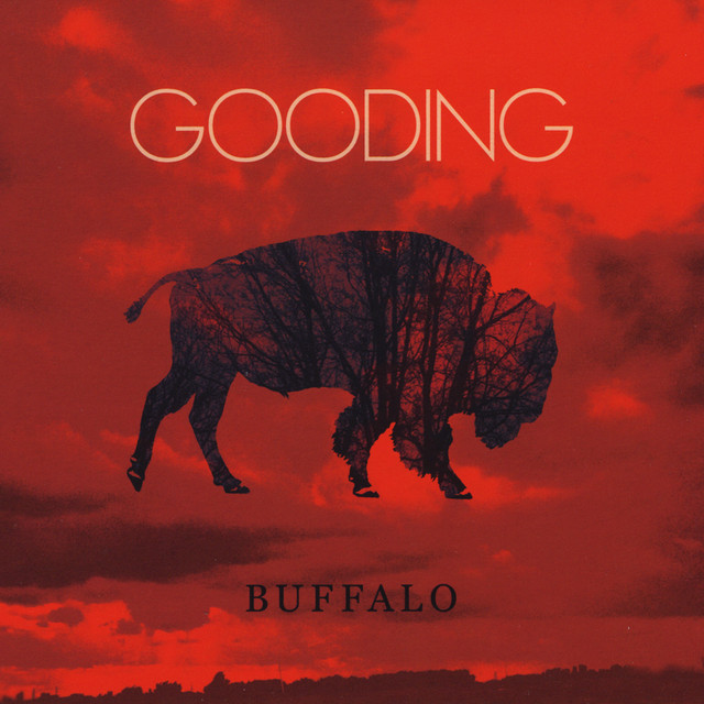 Buffalo cover art