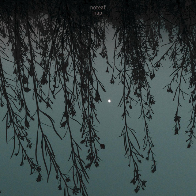 Cover art: Nap — noteaf
