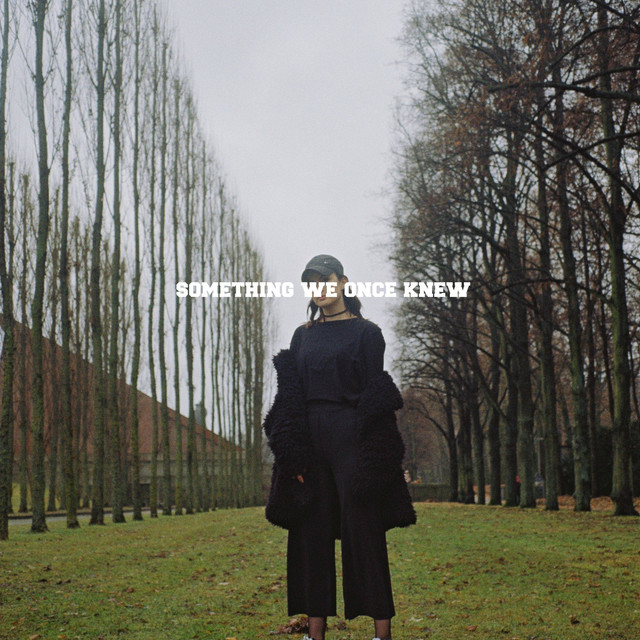 Something We Once Knew cover