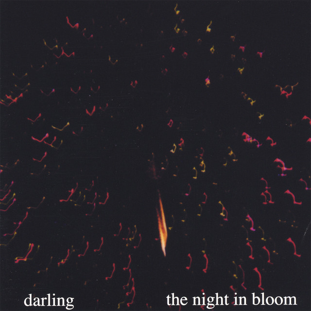 The Night In Bloom cover art