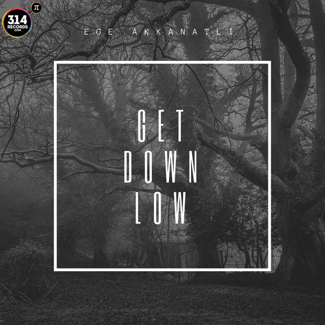 Get Down Low cover art