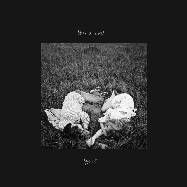 Youth (Commentary Version) cover art