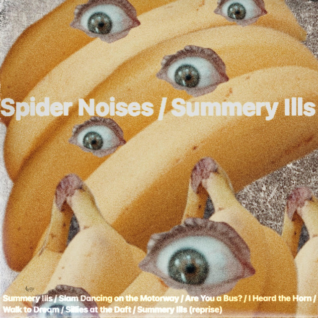 Summery Ills cover