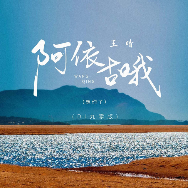 阿依古哦 (DJ九零版)