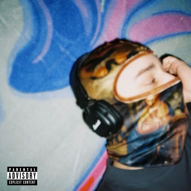 Život jako punk cover art