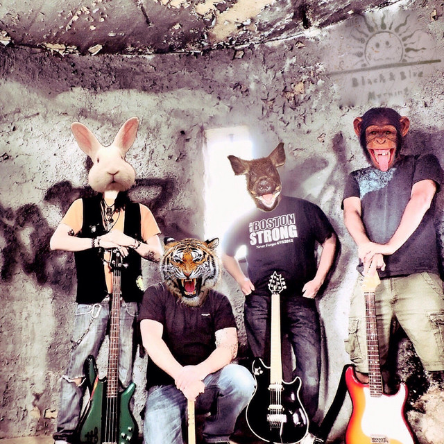 Live @ New England Music Awards 2015 last band standing