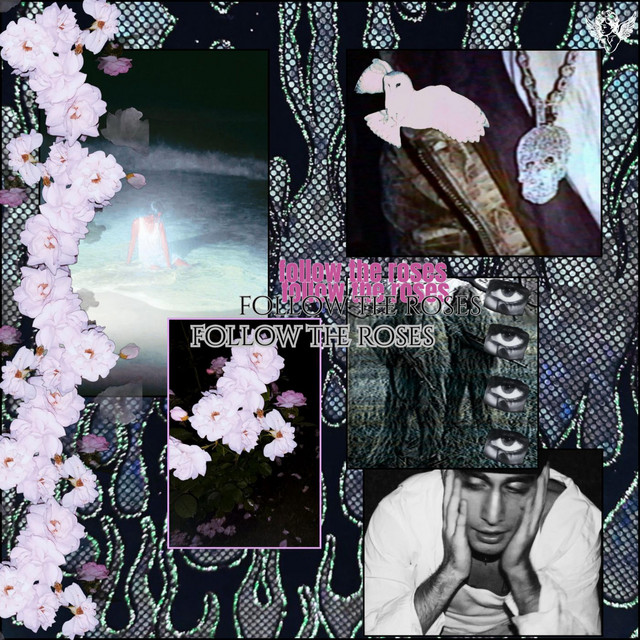 Follow The Roses