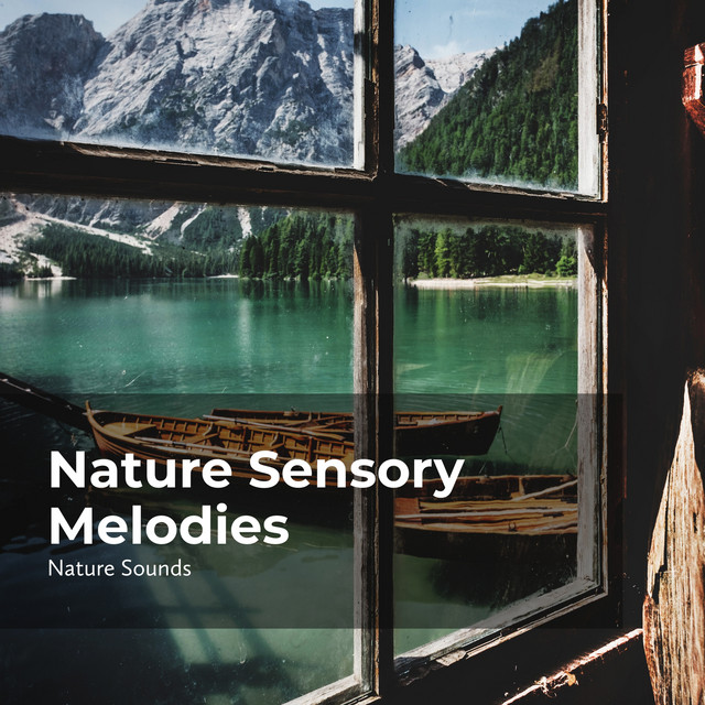 Nature Sensory Melodies - Album by Nature Sounds | Spotify