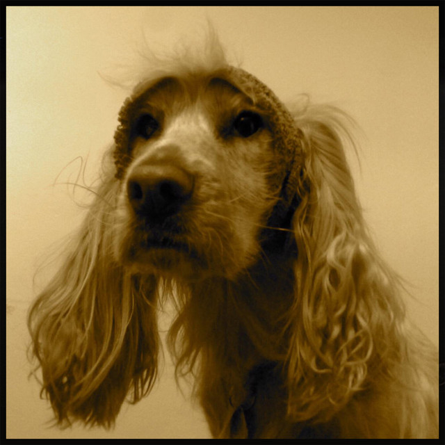 Tobia cover art