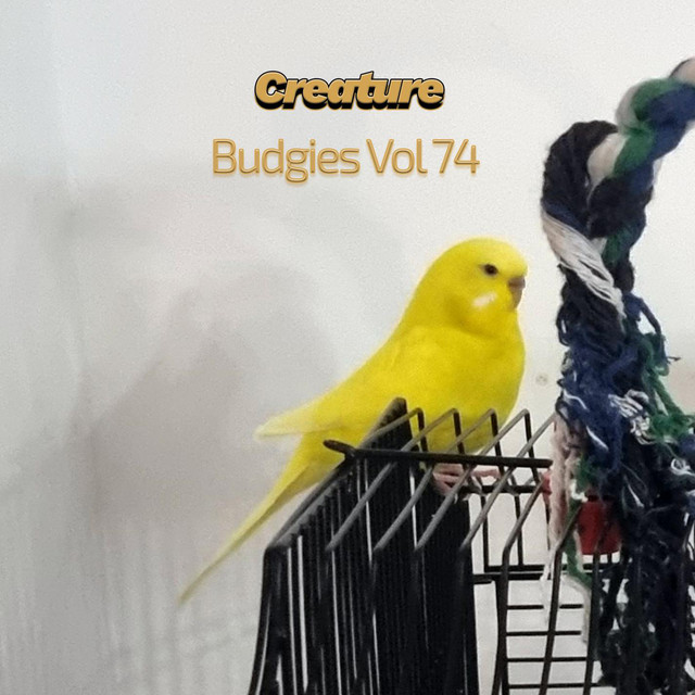 Budgies, Vol. 74 cover art