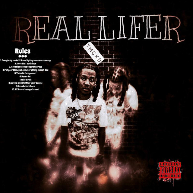 Real Lifer cover art