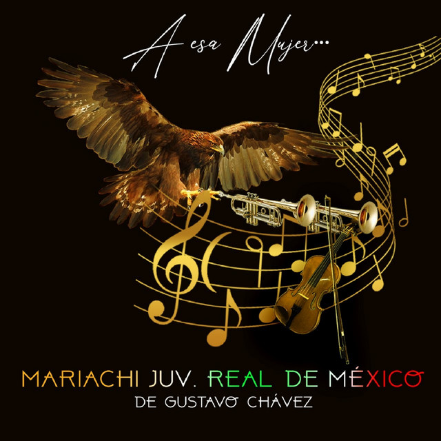 A Esa Mujer... cover art