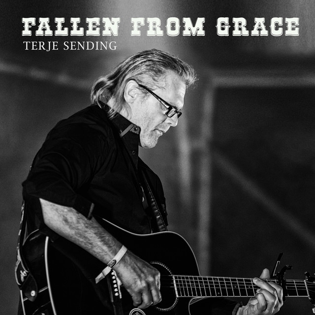 Fallen from Grace cover art