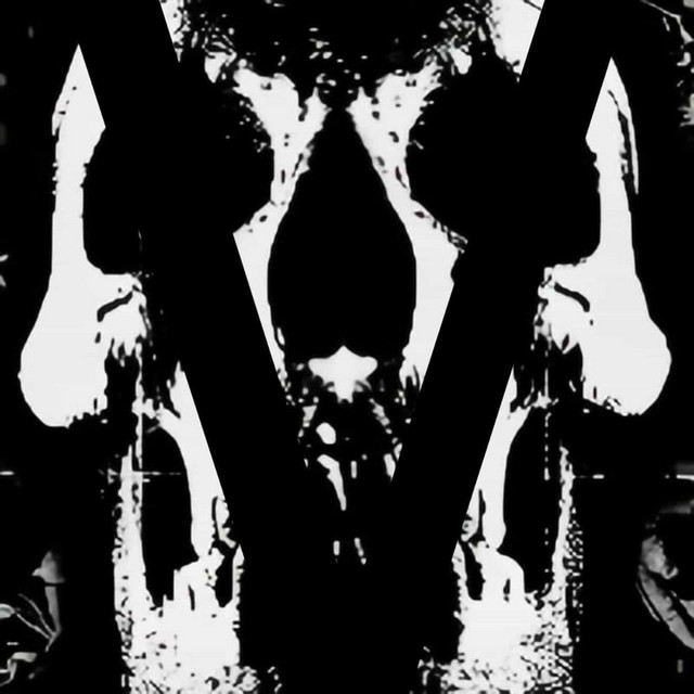 V-TRIADS cover art