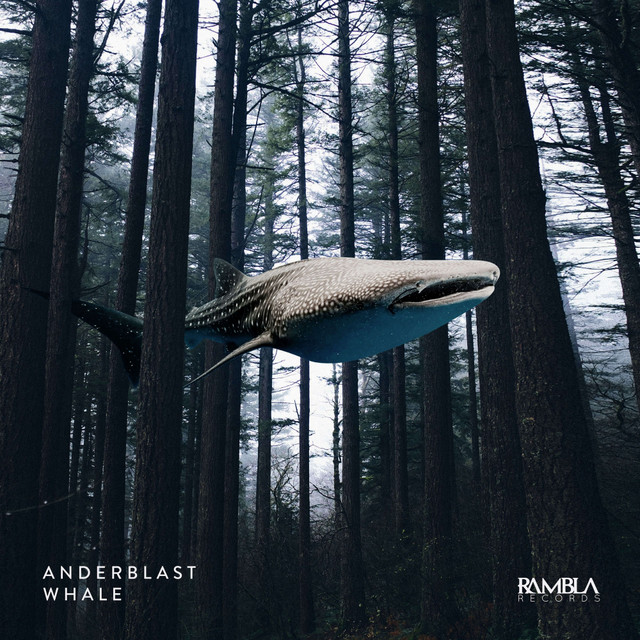 Whale cover art