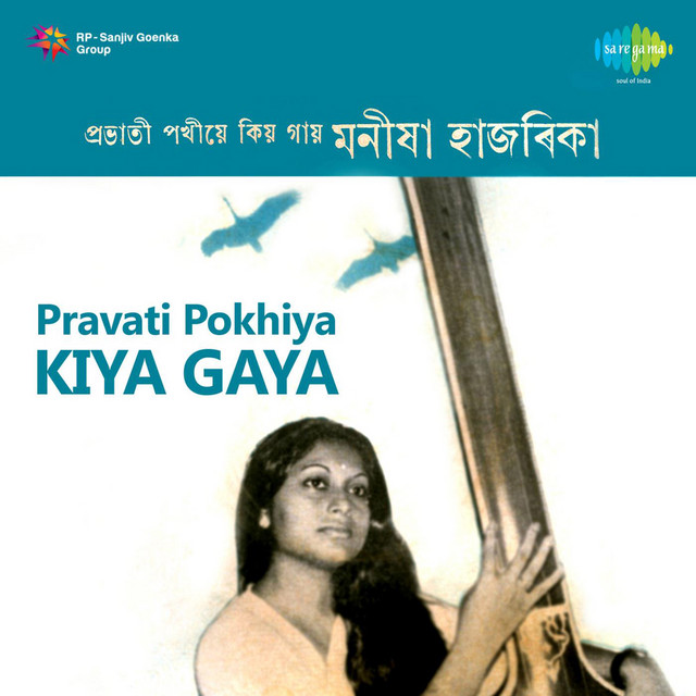 Pravati Pokhiya Kiya Gaya cover art