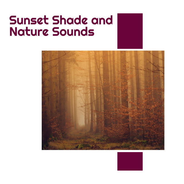 Sunset Shade and Nature Sounds - Compilation by Various Artists | Spotify