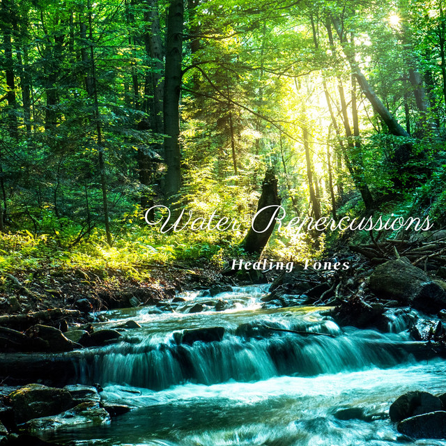 Water Repercussions cover art