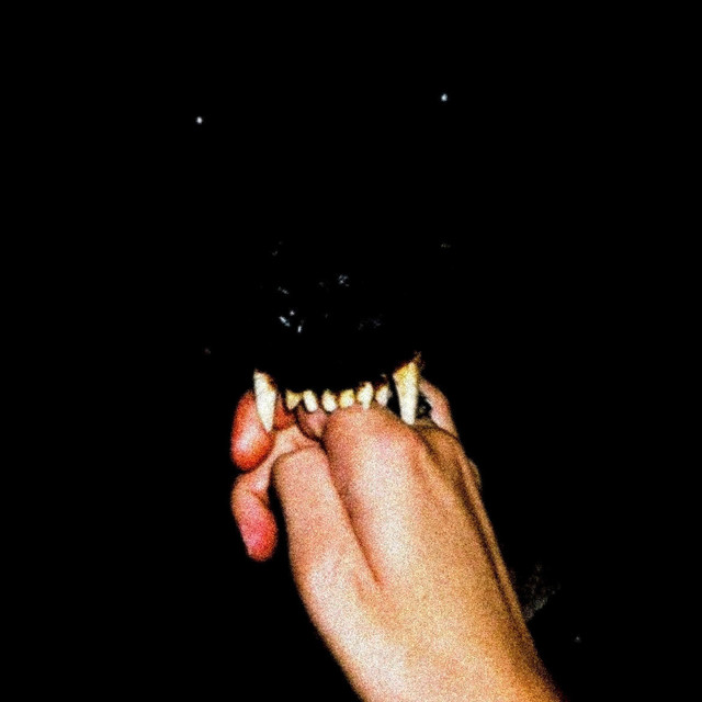 Bleak cover art